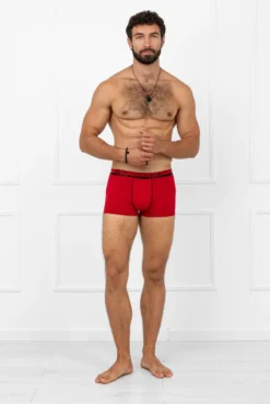 Rafael bokserki